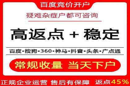 某品牌SEM广告策略揭秘——代运营公司的智慧